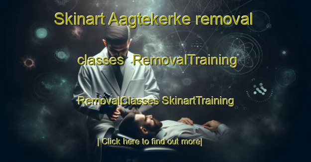 Skinart Aagtekerke removal classes | #RemovalTraining #RemovalClasses #SkinartTraining-Netherlands