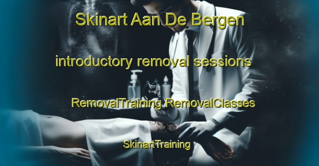 Skinart Aan De Bergen introductory removal sessions | #RemovalTraining #RemovalClasses #SkinartTraining-Netherlands