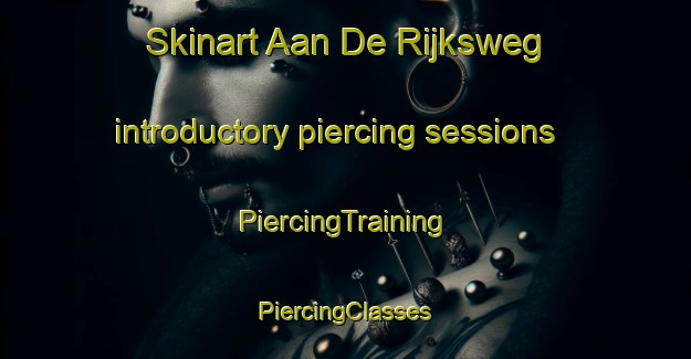 Skinart Aan De Rijksweg introductory piercing sessions | #PiercingTraining #PiercingClasses #SkinartTraining-Netherlands