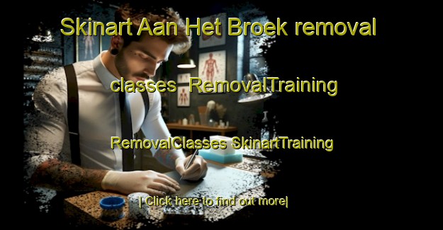 Skinart Aan Het Broek removal classes | #RemovalTraining #RemovalClasses #SkinartTraining-Netherlands