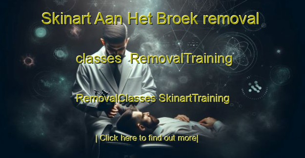 Skinart Aan Het Broek removal classes | #RemovalTraining #RemovalClasses #SkinartTraining-Netherlands