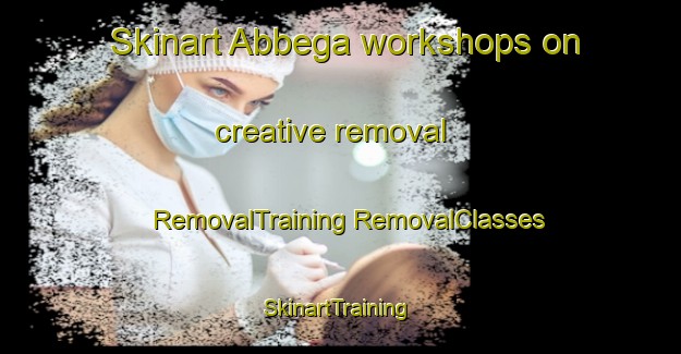 Skinart Abbega workshops on creative removal | #RemovalTraining #RemovalClasses #SkinartTraining-Netherlands