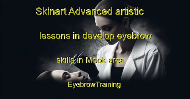 Skinart Advanced artistic lessons in develop eyebrow skills in Mook area | EyebrowTraining | EyebrowClasses | SkinartTraining-Netherlands