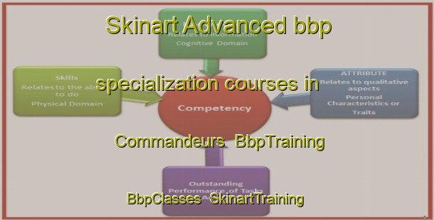 Skinart Advanced bbp specialization courses in Commandeurs | BbpTraining | BbpClasses | SkinartTraining-Netherlands