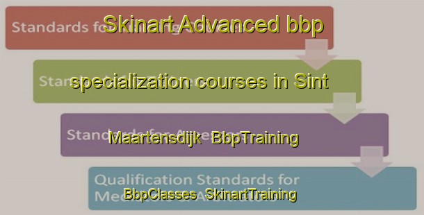 Skinart Advanced bbp specialization courses in Sint Maartensdijk | BbpTraining | BbpClasses | SkinartTraining-Netherlands