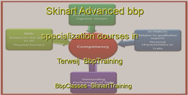 Skinart Advanced bbp specialization courses in Terweij | BbpTraining | BbpClasses | SkinartTraining-Netherlands