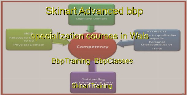 Skinart Advanced bbp specialization courses in Wals | BbpTraining | BbpClasses | SkinartTraining-Netherlands