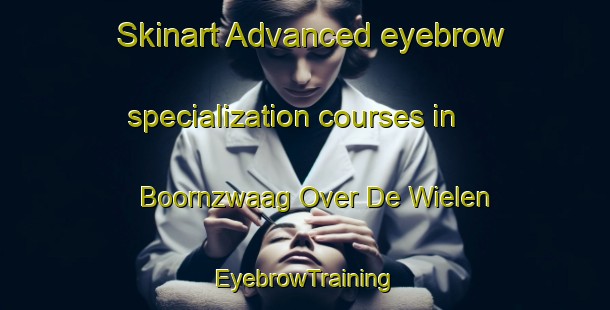 Skinart Advanced eyebrow specialization courses in Boornzwaag Over De Wielen | EyebrowTraining | EyebrowClasses | SkinartTraining-Netherlands