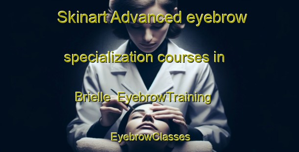 Skinart Advanced eyebrow specialization courses in Brielle | EyebrowTraining | EyebrowClasses | SkinartTraining-Netherlands