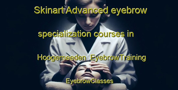 Skinart Advanced eyebrow specialization courses in Hoogemeeden | EyebrowTraining | EyebrowClasses | SkinartTraining-Netherlands