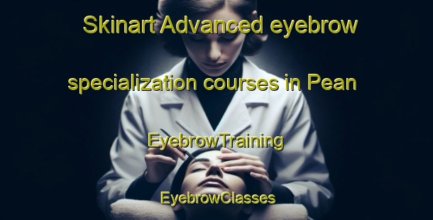 Skinart Advanced eyebrow specialization courses in Pean | EyebrowTraining | EyebrowClasses | SkinartTraining-Netherlands