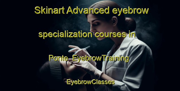 Skinart Advanced eyebrow specialization courses in Ponte | EyebrowTraining | EyebrowClasses | SkinartTraining-Netherlands