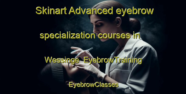 Skinart Advanced eyebrow specialization courses in Wessinge | EyebrowTraining | EyebrowClasses | SkinartTraining-Netherlands