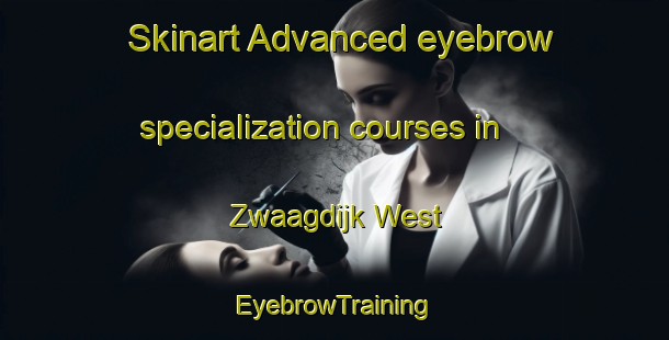 Skinart Advanced eyebrow specialization courses in Zwaagdijk West | EyebrowTraining | EyebrowClasses | SkinartTraining-Netherlands