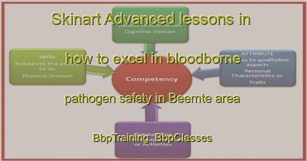 Skinart Advanced lessons in how to excel in bloodborne pathogen safety in Beemte area | BbpTraining | BbpClasses | SkinartTraining-Netherlands