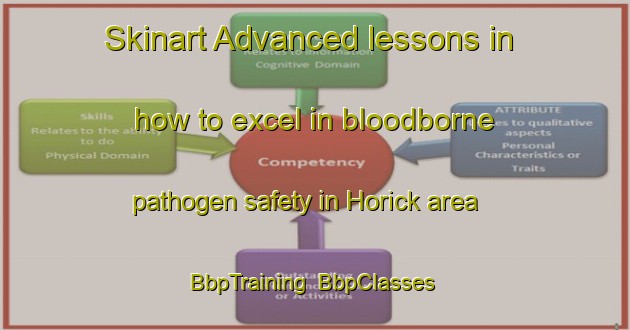 Skinart Advanced lessons in how to excel in bloodborne pathogen safety in Horick area | BbpTraining | BbpClasses | SkinartTraining-Netherlands