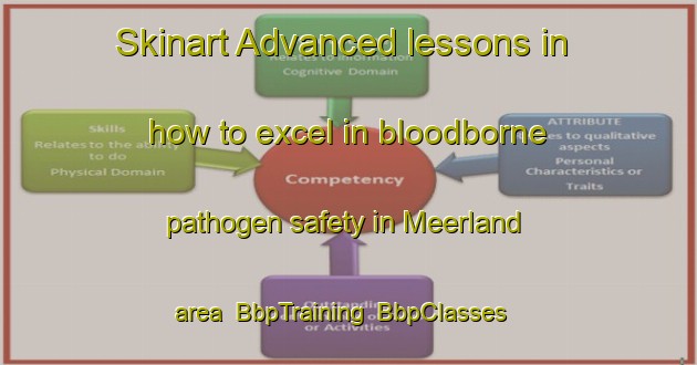 Skinart Advanced lessons in how to excel in bloodborne pathogen safety in Meerland area | BbpTraining | BbpClasses | SkinartTraining-Netherlands