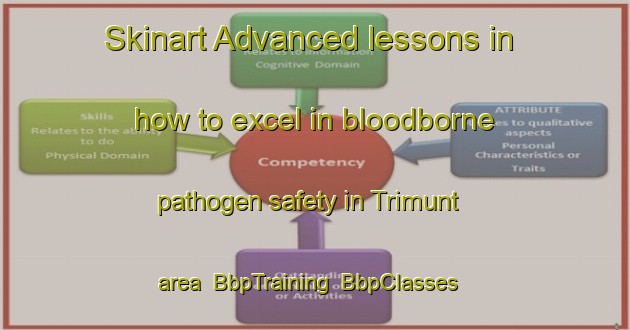 Skinart Advanced lessons in how to excel in bloodborne pathogen safety in Trimunt area | BbpTraining | BbpClasses | SkinartTraining-Netherlands