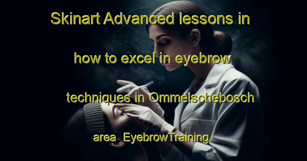 Skinart Advanced lessons in how to excel in eyebrow techniques in Ommelschebosch area | EyebrowTraining | EyebrowClasses | SkinartTraining-Netherlands