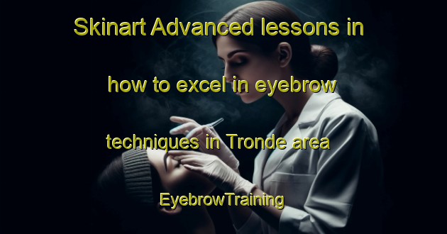 Skinart Advanced lessons in how to excel in eyebrow techniques in Tronde area | EyebrowTraining | EyebrowClasses | SkinartTraining-Netherlands