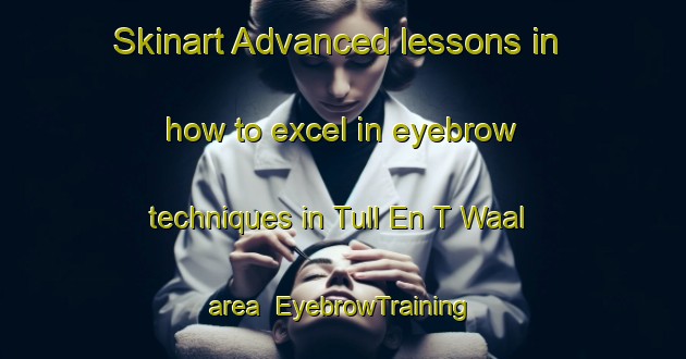 Skinart Advanced lessons in how to excel in eyebrow techniques in Tull En T Waal area | EyebrowTraining | EyebrowClasses | SkinartTraining-Netherlands