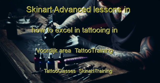 Skinart Advanced lessons in how to excel in tattooing in Voordijk area | TattooTraining | TattooClasses | SkinartTraining-Netherlands