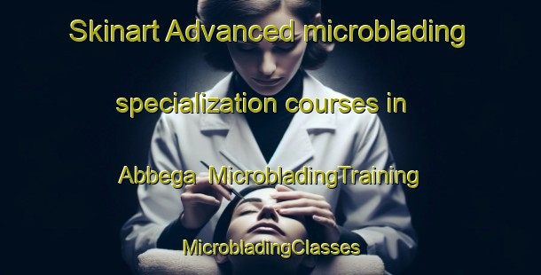 Skinart Advanced microblading specialization courses in Abbega | #MicrobladingTraining #MicrobladingClasses #SkinartTraining-Netherlands