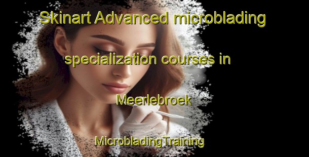 Skinart Advanced microblading specialization courses in Meerlebroek | MicrobladingTraining | MicrobladingClasses | SkinartTraining-Netherlands