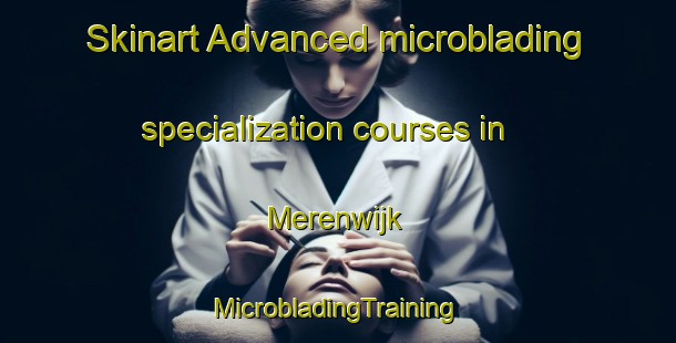 Skinart Advanced microblading specialization courses in Merenwijk | #MicrobladingTraining #MicrobladingClasses #SkinartTraining-Netherlands