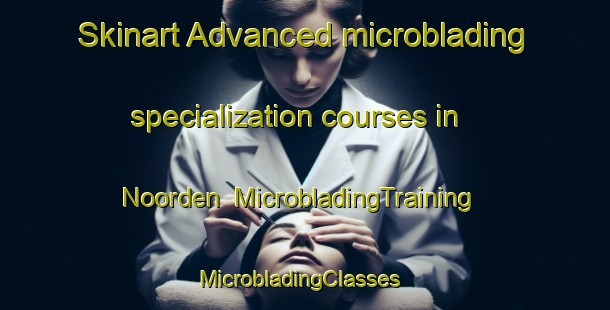 Skinart Advanced microblading specialization courses in Noorden | MicrobladingTraining | MicrobladingClasses | SkinartTraining-Netherlands