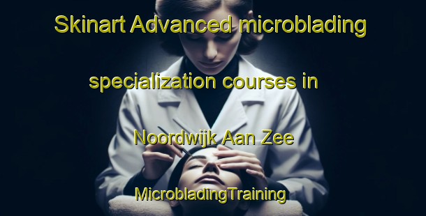 Skinart Advanced microblading specialization courses in Noordwijk Aan Zee | #MicrobladingTraining #MicrobladingClasses #SkinartTraining-Netherlands