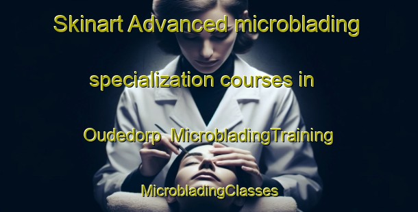 Skinart Advanced microblading specialization courses in Oudedorp | #MicrobladingTraining #MicrobladingClasses #SkinartTraining-Netherlands