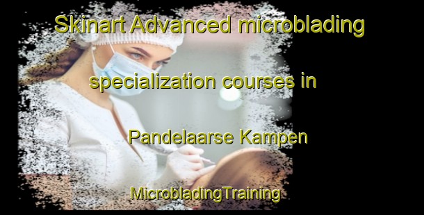 Skinart Advanced microblading specialization courses in Pandelaarse Kampen | MicrobladingTraining | MicrobladingClasses | SkinartTraining-Netherlands