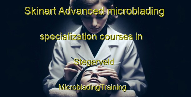 Skinart Advanced microblading specialization courses in Stegerveld | MicrobladingTraining | MicrobladingClasses | SkinartTraining-Netherlands