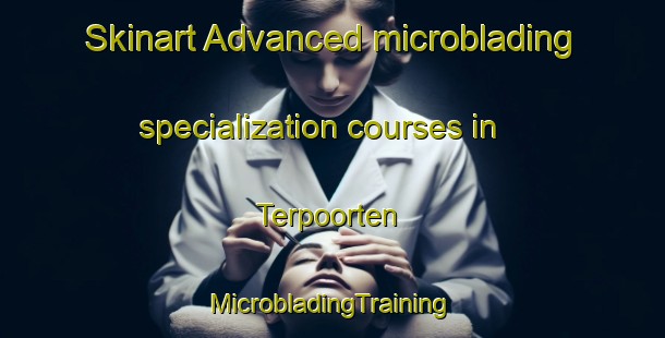 Skinart Advanced microblading specialization courses in Terpoorten | #MicrobladingTraining #MicrobladingClasses #SkinartTraining-Netherlands