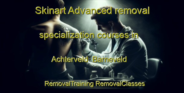 Skinart Advanced removal specialization courses in Achterveld  Barneveld | #RemovalTraining #RemovalClasses #SkinartTraining-Netherlands