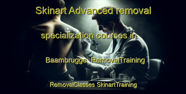 Skinart Advanced removal specialization courses in Baambrugge | #RemovalTraining #RemovalClasses #SkinartTraining-Netherlands