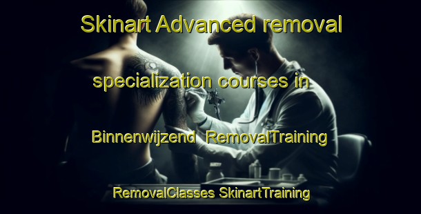 Skinart Advanced removal specialization courses in Binnenwijzend | #RemovalTraining #RemovalClasses #SkinartTraining-Netherlands