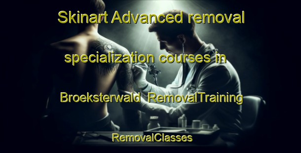 Skinart Advanced removal specialization courses in Broeksterwald | RemovalTraining | RemovalClasses | SkinartTraining-Netherlands