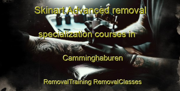 Skinart Advanced removal specialization courses in Camminghaburen | #RemovalTraining #RemovalClasses #SkinartTraining-Netherlands