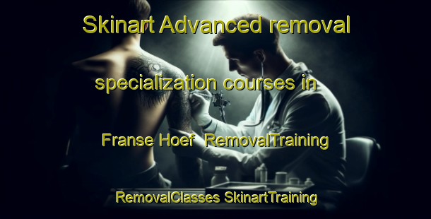 Skinart Advanced removal specialization courses in Franse Hoef | #RemovalTraining #RemovalClasses #SkinartTraining-Netherlands