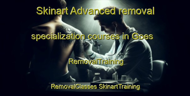 Skinart Advanced removal specialization courses in Goes | #RemovalTraining #RemovalClasses #SkinartTraining-Netherlands