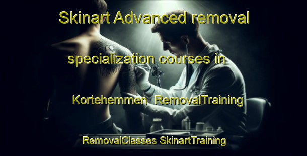 Skinart Advanced removal specialization courses in Kortehemmen | #RemovalTraining #RemovalClasses #SkinartTraining-Netherlands