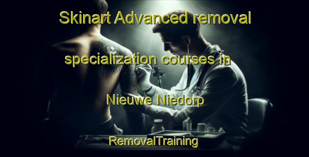 Skinart Advanced removal specialization courses in Nieuwe Niedorp | RemovalTraining | RemovalClasses | SkinartTraining-Netherlands