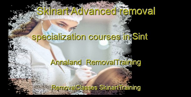 Skinart Advanced removal specialization courses in Sint Annaland | #RemovalTraining #RemovalClasses #SkinartTraining-Netherlands