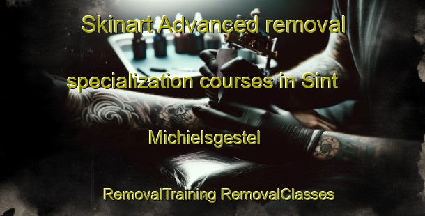 Skinart Advanced removal specialization courses in Sint Michielsgestel | #RemovalTraining #RemovalClasses #SkinartTraining-Netherlands