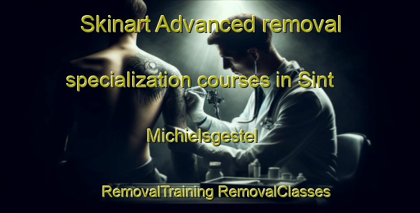 Skinart Advanced removal specialization courses in Sint Michielsgestel | #RemovalTraining #RemovalClasses #SkinartTraining-Netherlands