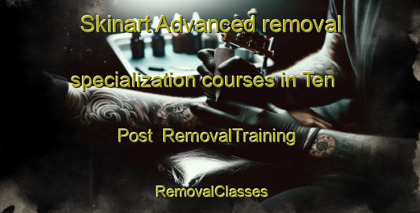 Skinart Advanced removal specialization courses in Ten Post | RemovalTraining | RemovalClasses | SkinartTraining-Netherlands