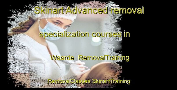 Skinart Advanced removal specialization courses in Waarde | #RemovalTraining #RemovalClasses #SkinartTraining-Netherlands