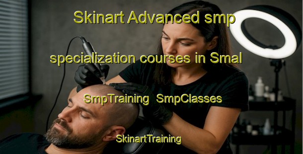 Skinart Advanced smp specialization courses in Smal | SmpTraining | SmpClasses | SkinartTraining-Netherlands